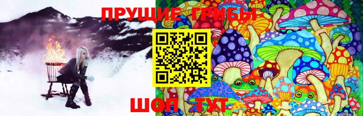 Галлюциногенные грибы Cubensis Саяногорск